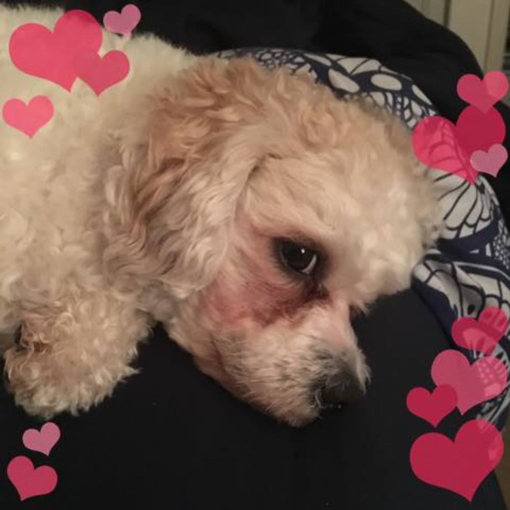 Meet your Posher, April